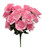 Pink Full Blooms Open Rose Bush with Baby's Breath