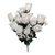 White Rose Buds Bush