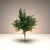 Dark Green Mixed Fern Bush