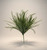 19" Button Leaf / Bead Grass Bush