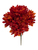 Small Fire Orange Mums
