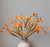 18" Flower & Seeds Mixed Bush - Orange