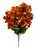 Orange Hydrangeas