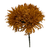 Golden Brown Spider Mums