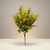 Mixed Eucalyptus Bush -  Yellow Brown
