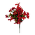 Red Tweedia Bush