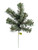 18" Sugar Pine Pick