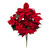Red Velvet Poinsettia Bush
