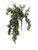 Medium Green Trailing Succulent Bush
