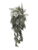 30" Frosted Fern Hanging Bush - Dusty Sage Green Trailing Foliage