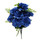 Blue Carnation Bush
