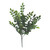 Wisteria Leaves Greenery Bush