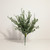Button Leaves Mixed Greenery Bush