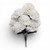 White Carnation Bush
