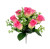 9" Small Pink Rose Bush