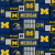 Official Licensed University of Michigan College Patch Fleece