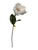 26" Magnolia Stem - Cream 