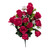 Beauty Pink Mini Buds Rose Bush