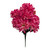 Beauty Pink Mum Bush