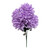 Lavender Mum Bush