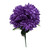 Purple Mum Bush