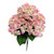 Pink & Cream Hydrangea Bush