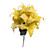 Butter Yellow Tiger Lilies