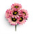 Pink Sunflower Bush