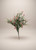Frosted Mini Bell Bush - Beauty Pink