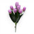 Tulip Bush - Purple Lilac