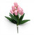 Tulip Bush - Soft Pink