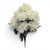 Mum Bush - Cream