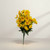 Yellow Daisy Bush