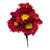 Red Gerber Daisy Bush
