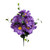 Purple Zinnia Bush