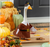 Giddy the Goose Harvest Pilgrim Outfit