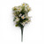 Cream Starflower Blossom Bush