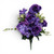 Purple Rose Anemone Mixed Bush