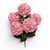 Snowball Bush - Pink