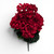 Deep Red Geranium Bush