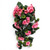 28" Pink Geranium Hanging Bush
