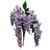 Lavender Wisteria Bush