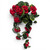 28" Red Geranium Hanging Bush
