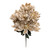 Taupe Dahlia Bush