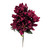 Burgundy Dahlia Bush