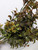 Tea Leaf Bush with Burgundy Splatter