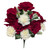 Red & White Carnation & Rose Frosted Mixed Bush