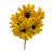 Golden Yellow Gerber Daisy Bush