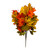 Orange Yellow Green Maple Leaf Bush