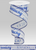 Kentucky State Script & Block Lettering Wired Ribbon 1.5"